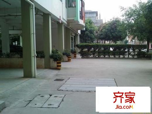 通業(yè)平安佳園外景圖平安佳園 