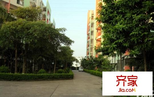通業(yè)平安佳園外景圖1