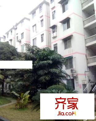 社會科學(xué)院外景圖22220377414543