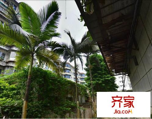 絲綢公司宿舍外景圖圖片12