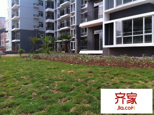 第一大道東方華府外景圖1