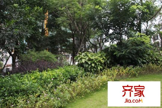 龍基傳媒星城社區(qū)園林實景（2015-9）