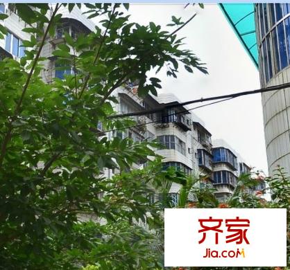 司法廳第一宿舍區(qū)外景圖