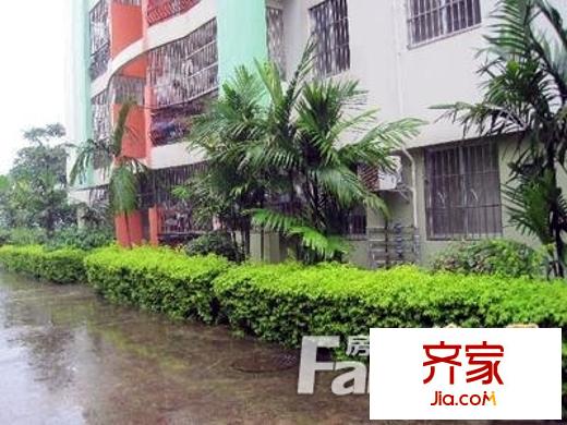 通業(yè)平安佳園外景圖2