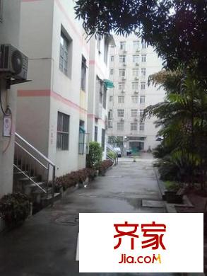 社會科學(xué)院