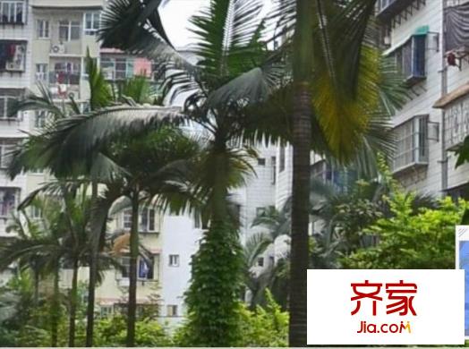 絲綢公司宿舍外景圖圖片8