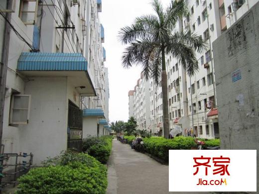 北湖小區(qū)外景圖1
