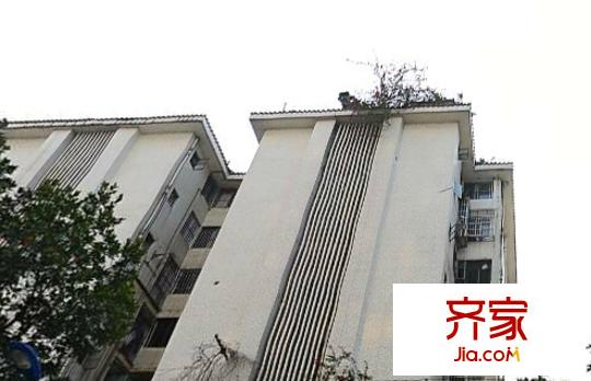 興寧區(qū)政府民生宿舍