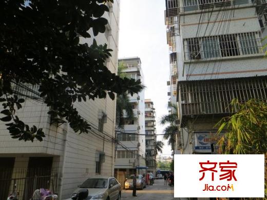 葛麻小區(qū)外景圖 