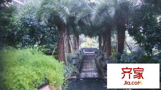 金騰生態(tài)園外景圖   4