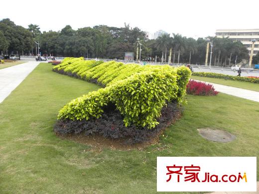 聯(lián)發(fā)臻品配套圖周邊民族大道民族廣場（2011-12-21）