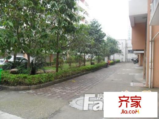 相思湖中富花苑外景圖  