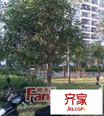 葛麻小區(qū)外景圖南寧1