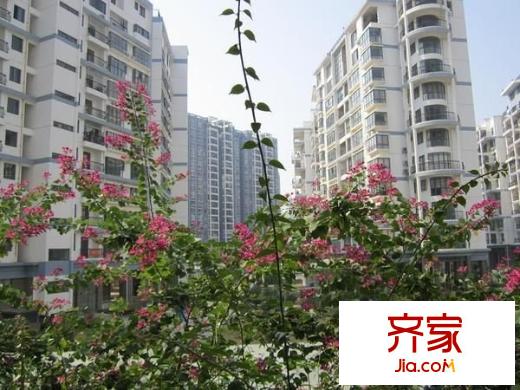 東盟世紀(jì)村外景圖 