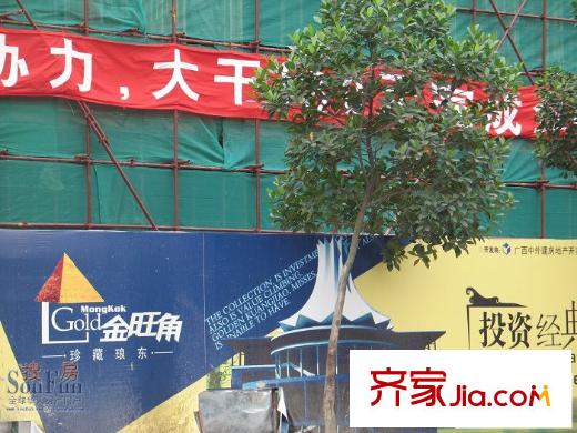 金旺角配套圖金洲路
