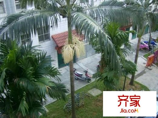 中華苑小區(qū)外景圖 