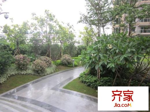 盛天國(guó)際外景圖 
