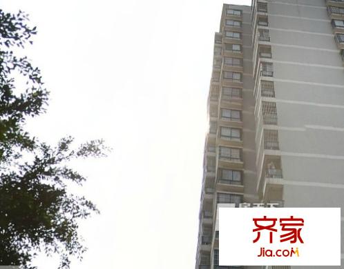 鉆石年代外景圖