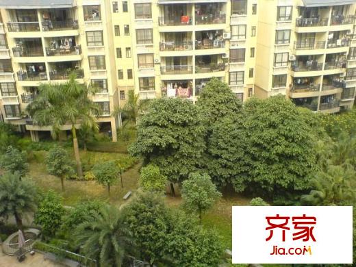 綠城翠堤灣外景圖 