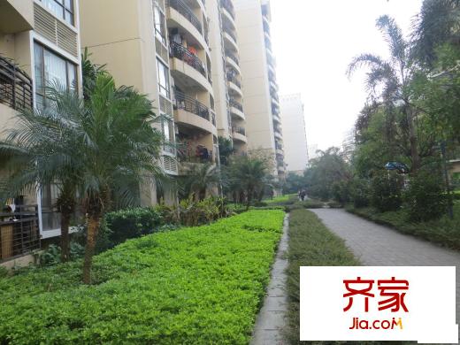 綠城翠堤灣外景圖 