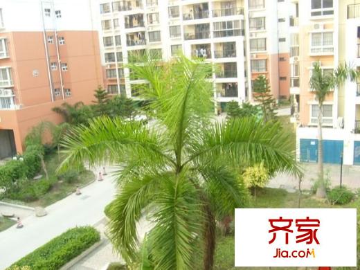金禾灣外景圖 