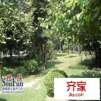綠城畫卷外景圖實(shí)拍圖