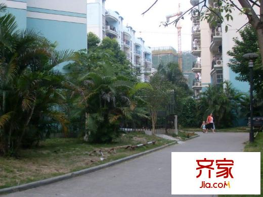 金桂花園外景圖 