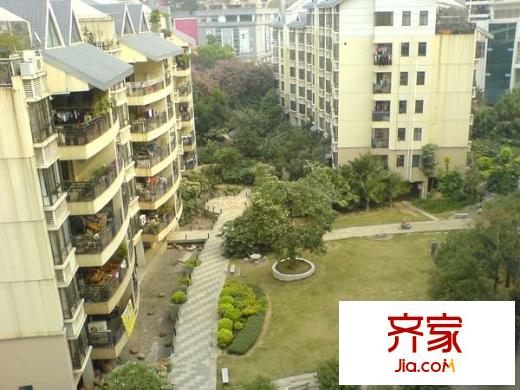 綠城翠堤灣外景圖 