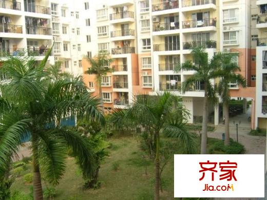 金禾灣外景圖 