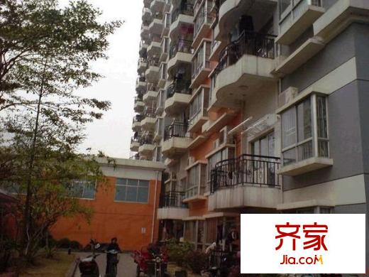 皇龍新城外景圖 