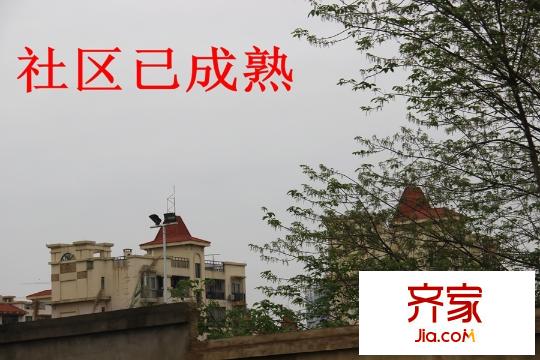 海茵巴塞羅那實景5（2015-03-24）
