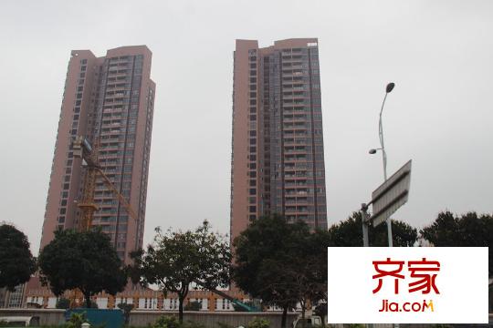 裕豐荔園（2015.4.22）