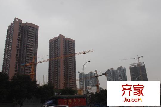 裕豐荔園（2015.4.22）