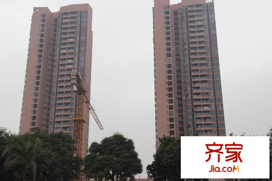 裕豐荔園（2015.4.22）