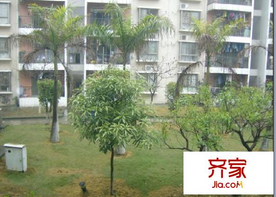 振寧翠峰外景圖 
