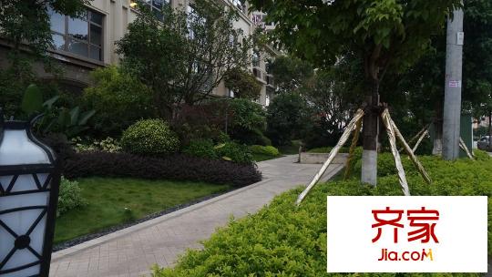 龍光君悅?cè)A庭園林實景（2015-9-9）
