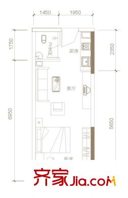 天成一品C區(qū)10戶型 1室1衛(wèi)1廚