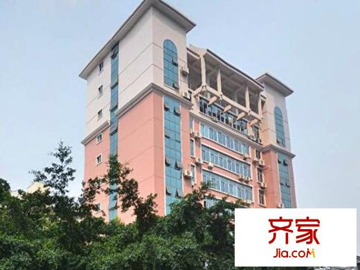 廣西農(nóng)業(yè)廳值?？傉舅奚嵬饩皥D3