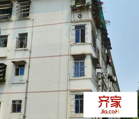 區(qū)政府新民路宿舍區(qū)外景圖9