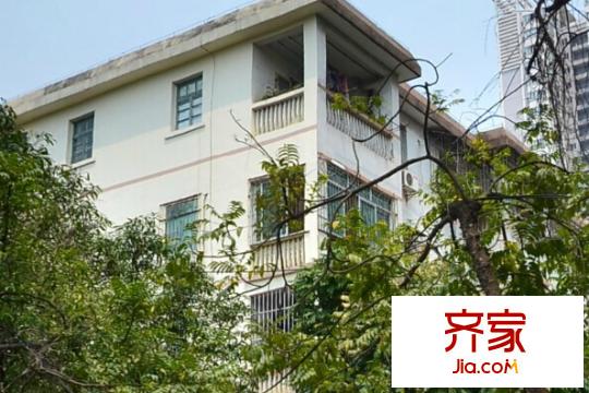 區(qū)政府新民路宿舍區(qū)外景圖4
