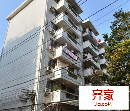 區(qū)水產畜牧局大院外景圖6
