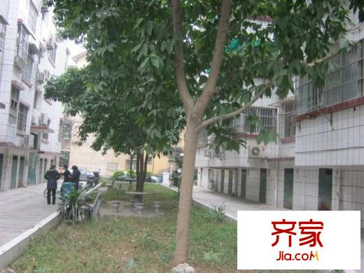 農機管理局宿舍外景圖 