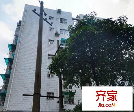 真情制衣廠宿舍外景圖5