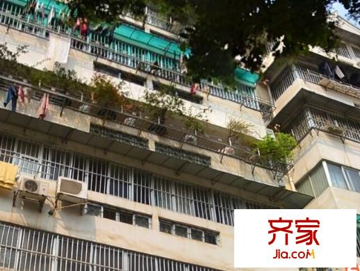 廣西農(nóng)業(yè)廳值?？傉舅奚嵬饩皥D5