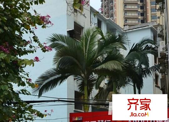 青秀區(qū)教育路單位房外景圖8