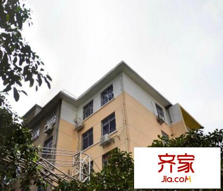 友愛路市婦幼宿舍外景圖4
