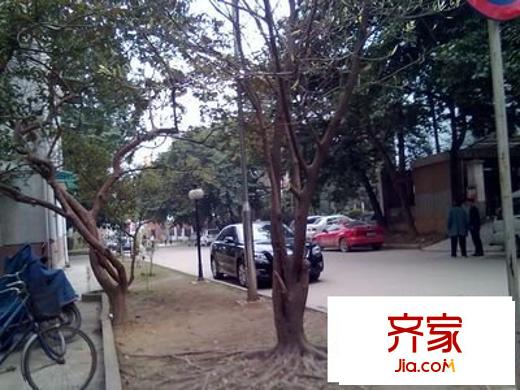 南寧市面粉廠宿舍外景圖 