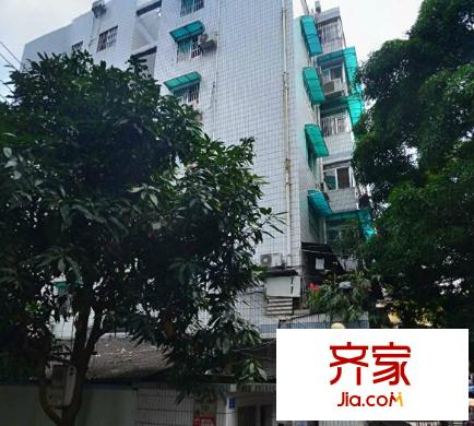 真情制衣廠宿舍外景圖2