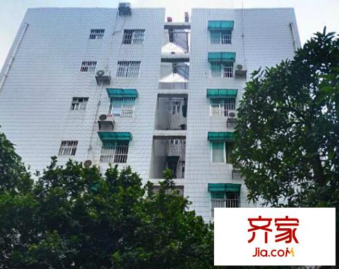真情制衣廠宿舍外景圖3