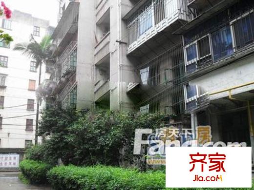 開關(guān)廠生活區(qū)外景圖開關(guān)廠宿舍3